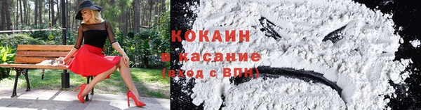 стаф Ладушкин