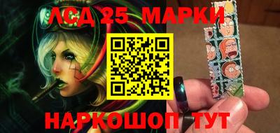 индика Новодвинск