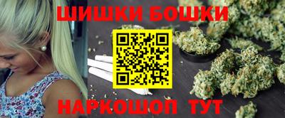 индика Новодвинск