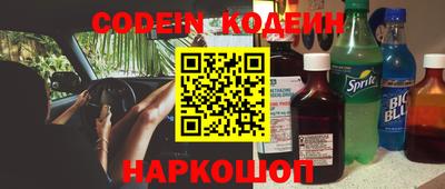 индика Новодвинск