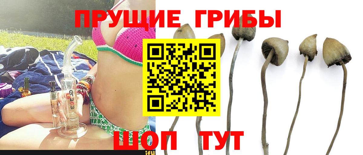 Бутурлиновка  Галлюциногенные грибы ЛСД  Вход с VPN 
