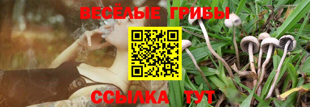 Галлюциногенные грибы ЛСД Бутурлиновка